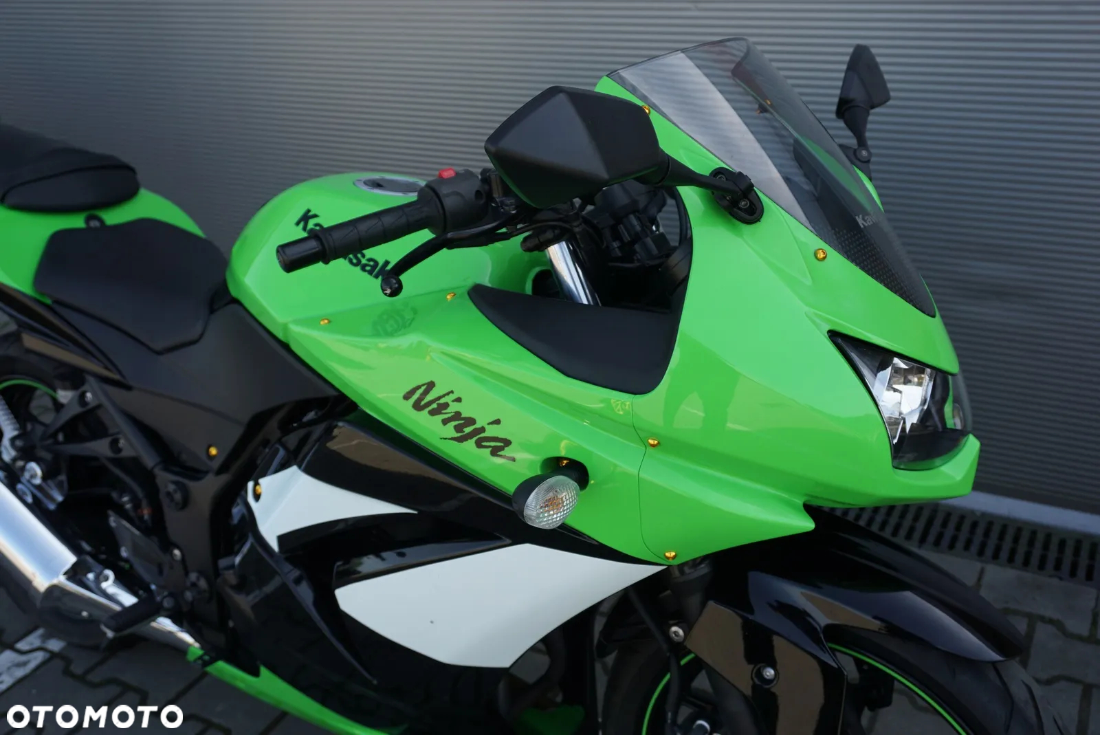 Kawasaki Ninja 250R - 9