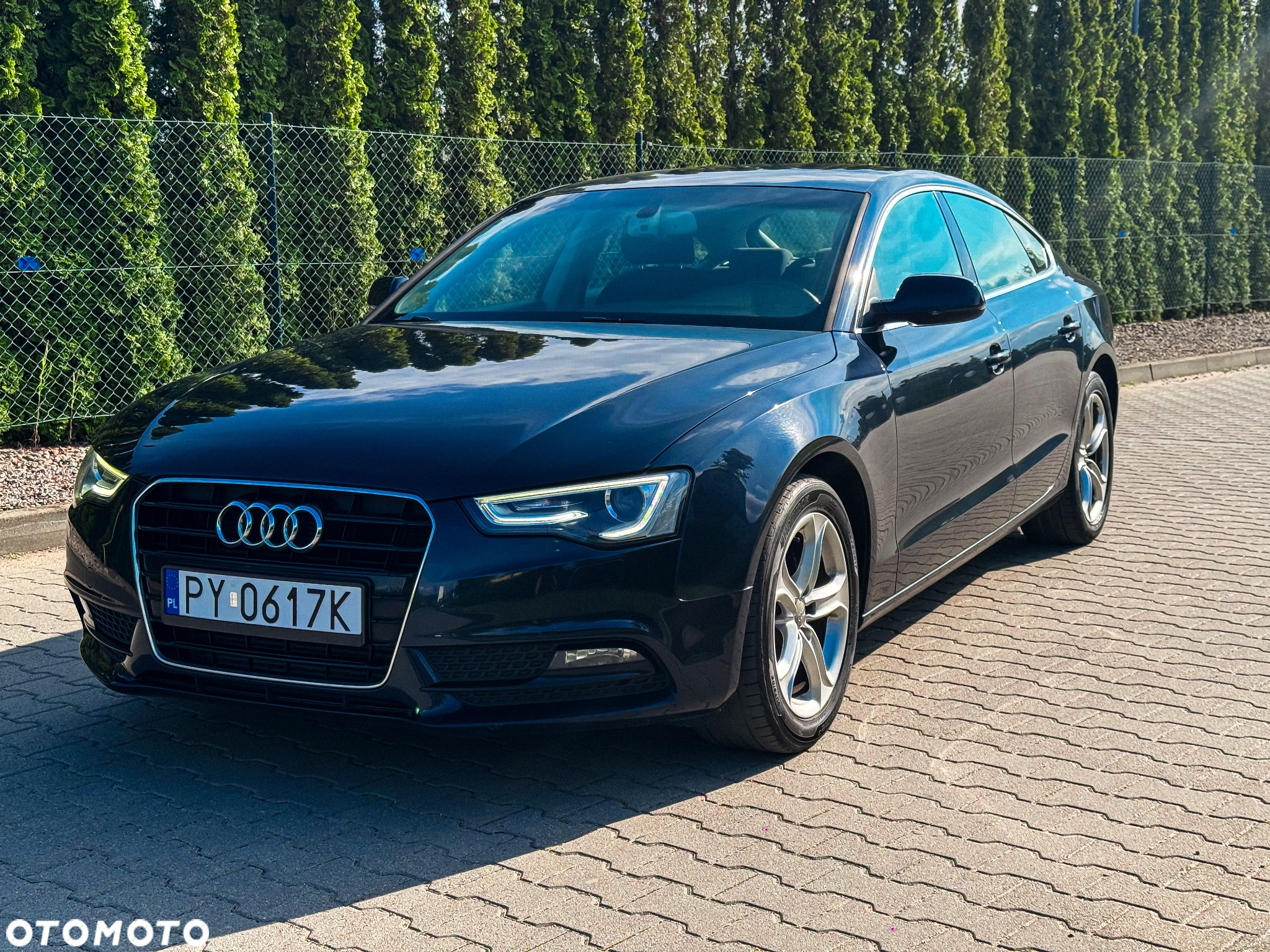 Audi A5 1.8 TFSI Sportback - 31