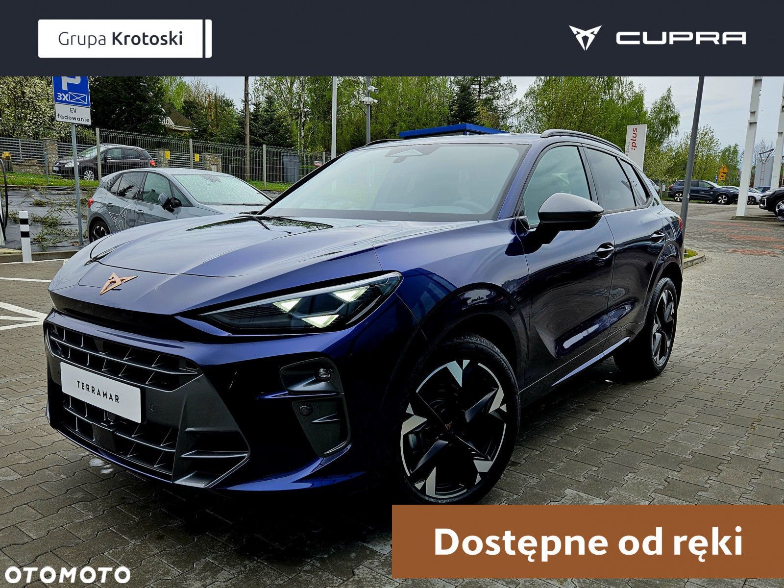 Cupra Terramar - 1