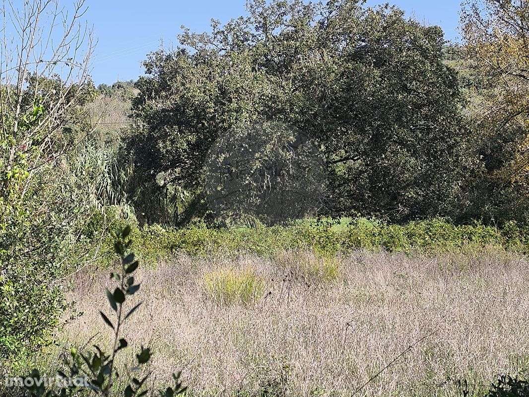 Terreno  para venda - Grande imagem: 2/9