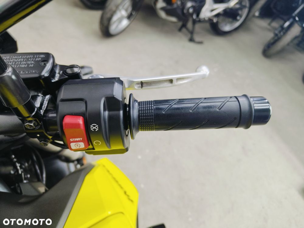 Honda Hornet - 18