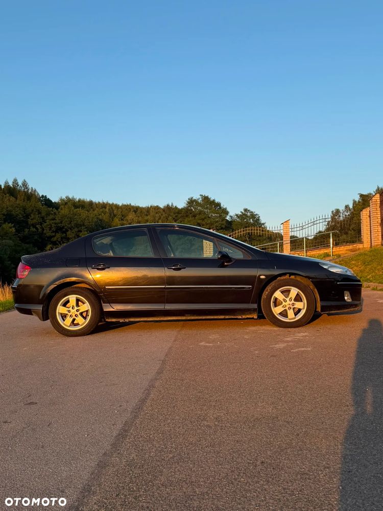 Peugeot 407 - 8