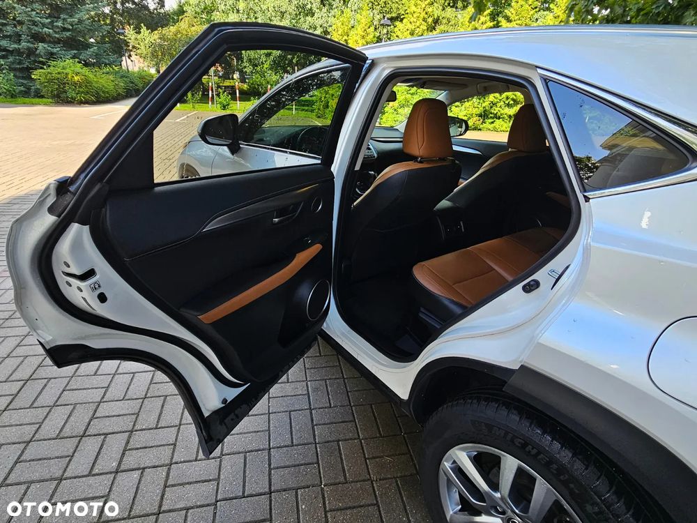 Lexus NX - 19