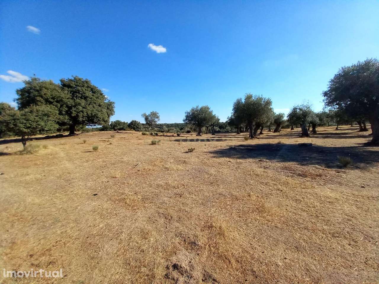 Terreno com Vista Panorâmica em Lardosa, Castelo Branco - Grande imagem: 5/9