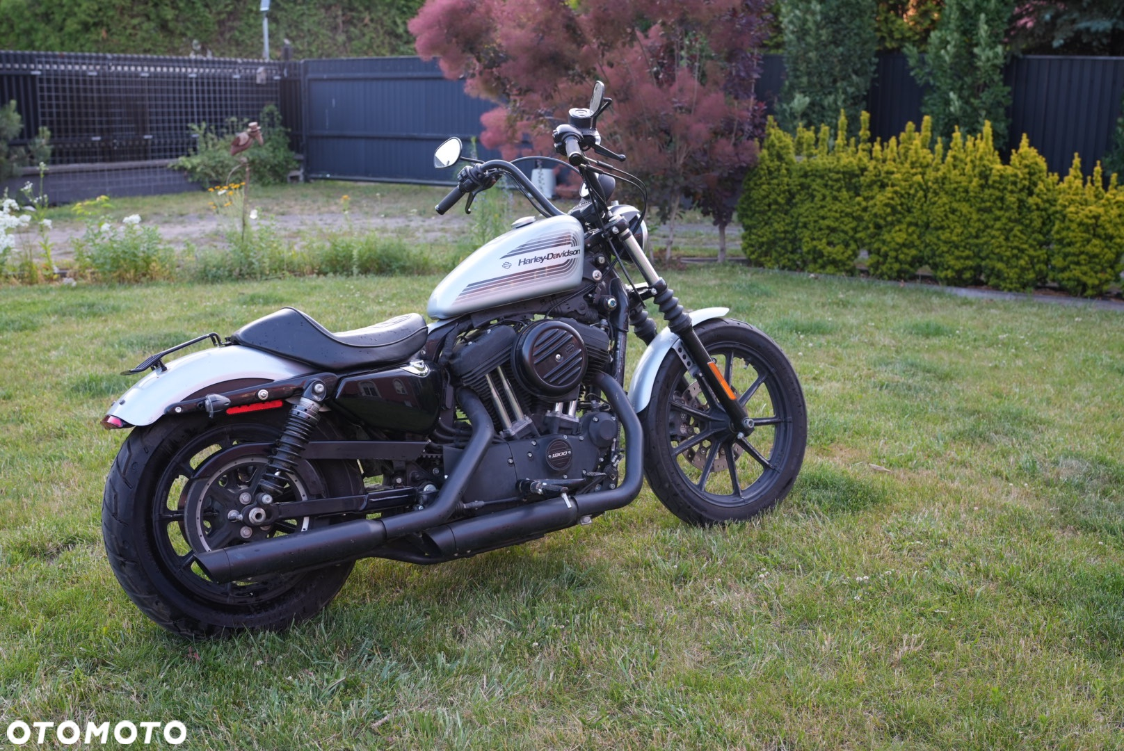 Harley-Davidson Sportster Iron 1200 - 3