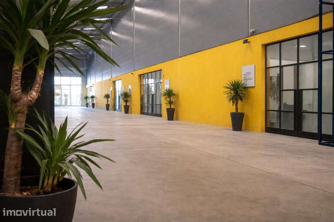 Arrecadação/Arrumos 15m2 Parque Empresarial - Grande imagem: 5/31