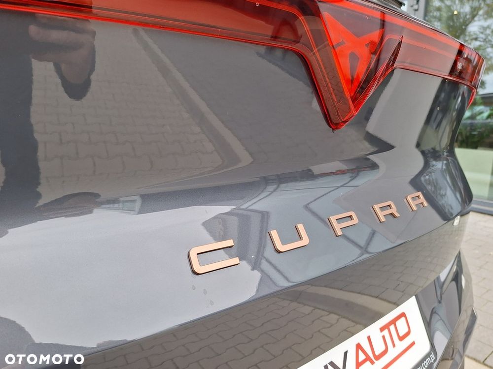 Cupra Terramar - 13