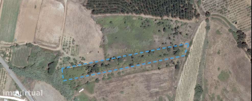 Terreno, 4 375 m², Freiria - Grande imagem: 2/2