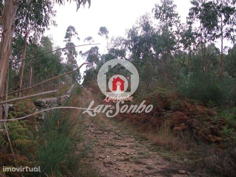 Terreno rustico com 17.000 m2 em Fornelo - Vila do Conde - Grande imagem: 2/15