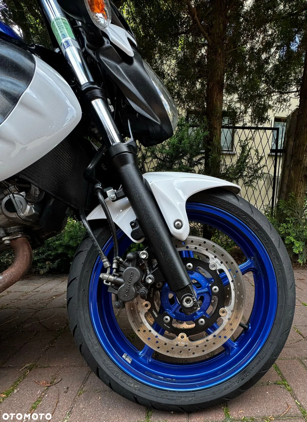 Suzuki Gladius - 4