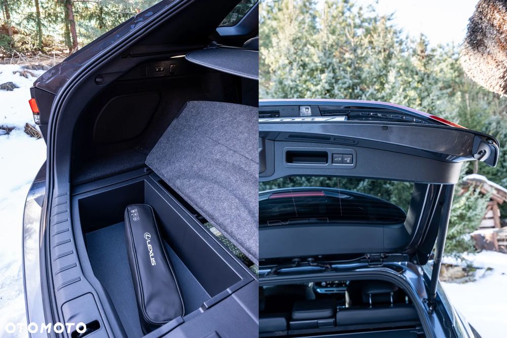 Lexus RX 350h F Sport Design - 21