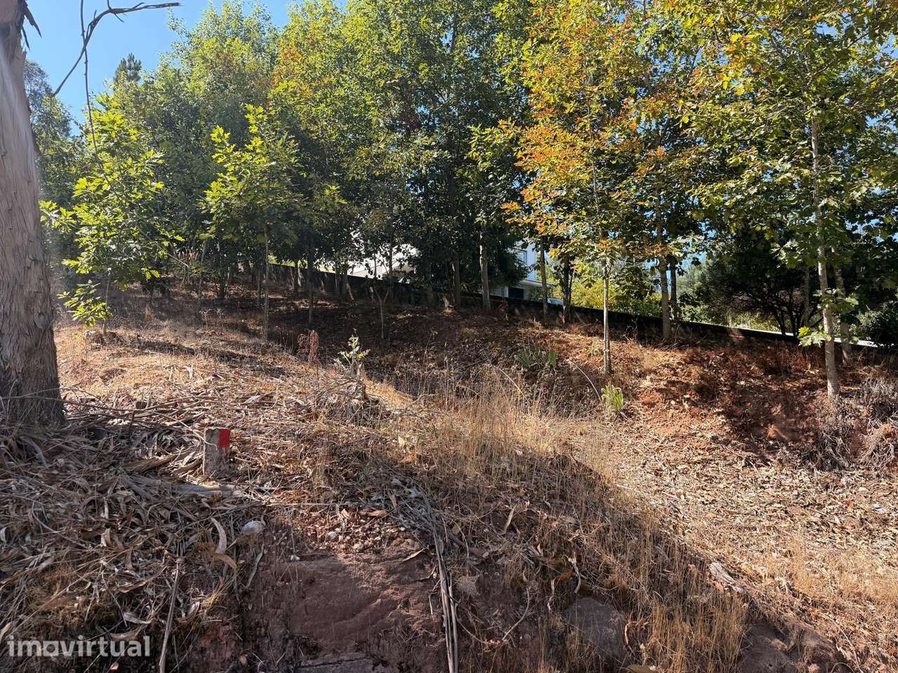 Terreno em Óis da Ribeira para construção de moradia - Grande imagem: 5/6