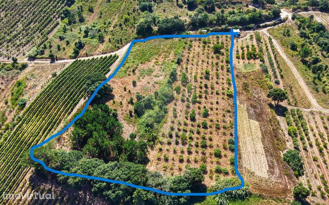 Terreno  para venda - Grande imagem: 2/40