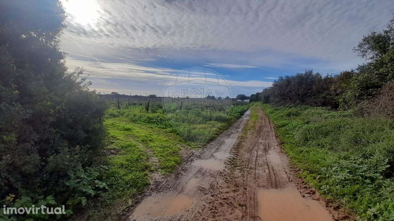 Terreno  para venda - Grande imagem: 2/35