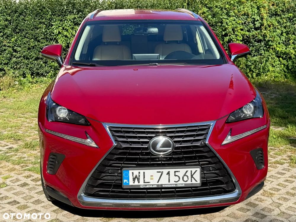 Lexus NX 300 Comfort AWD - 6