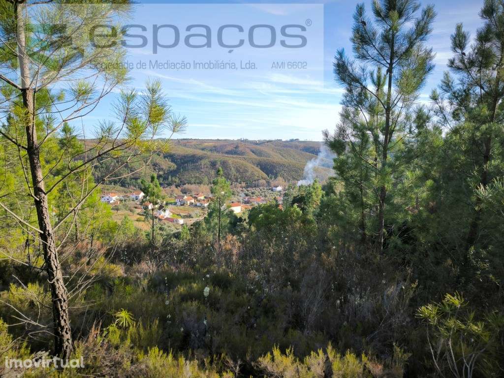 Terreno Rústico - Cerejeira - Grande imagem: 2/5