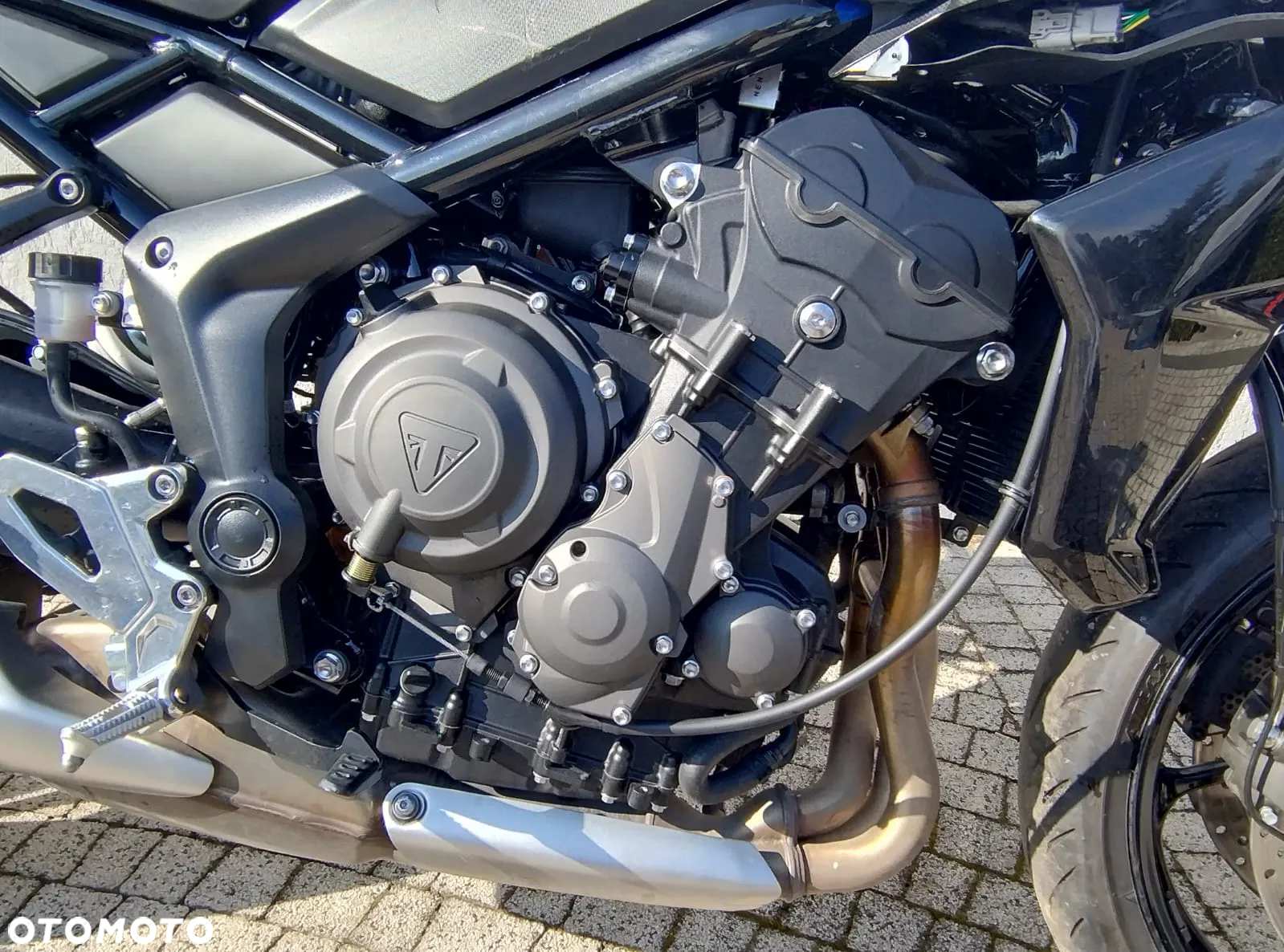Triumph Tiger - 17