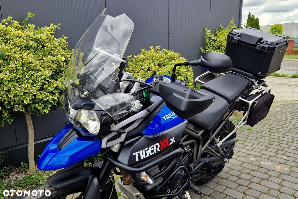 Triumph Tiger - 31