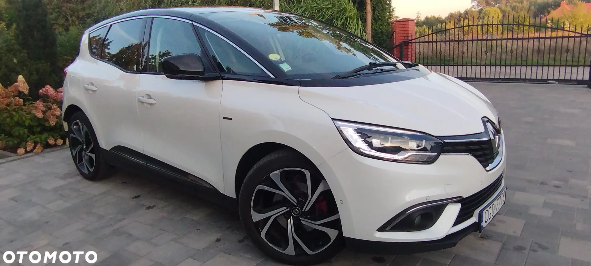 Renault Scenic - 2