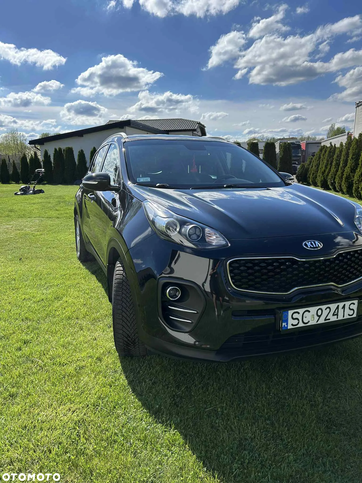 Kia Sportage - 6