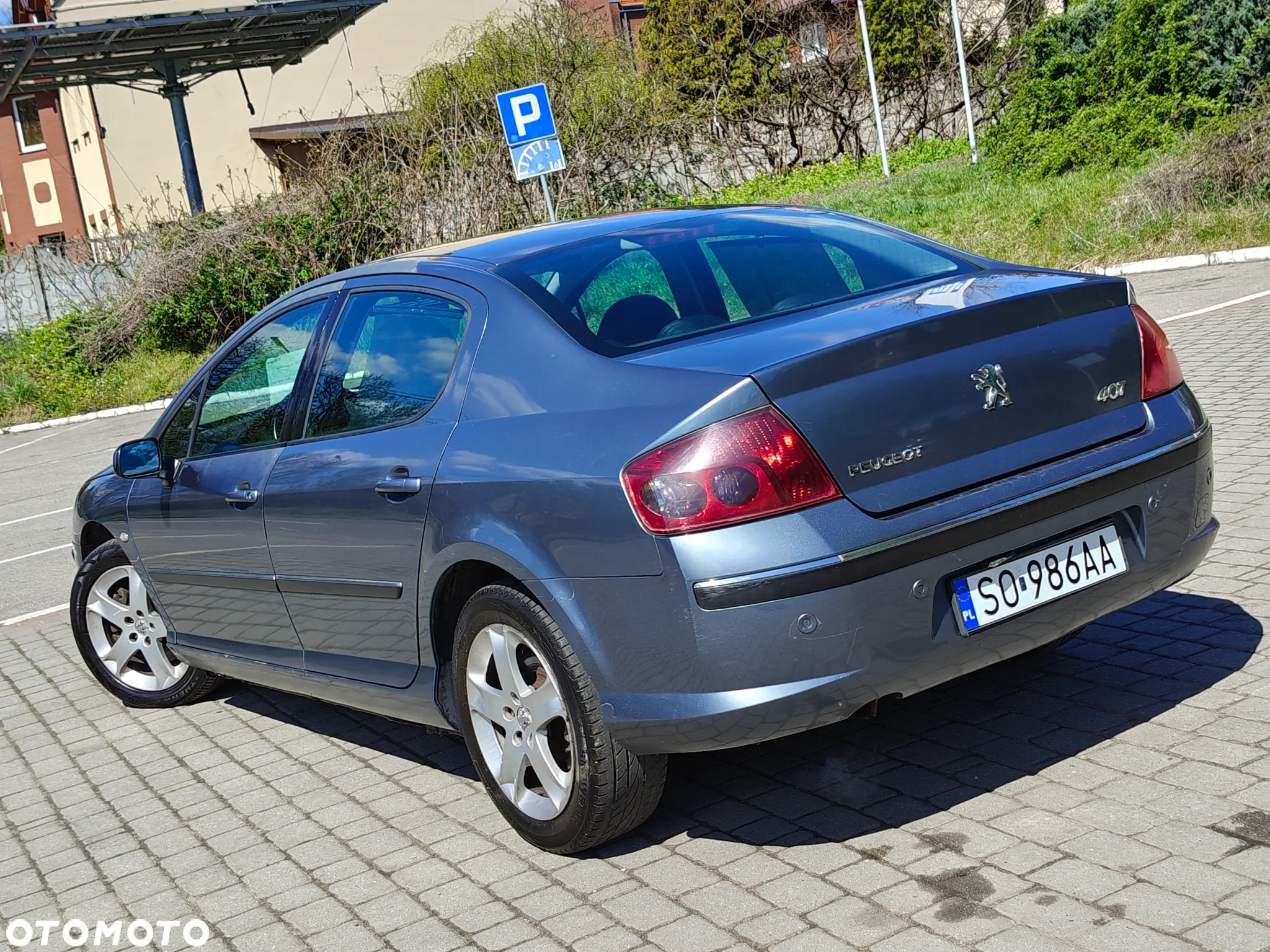 Peugeot 407 SW 160 Platinum - 3