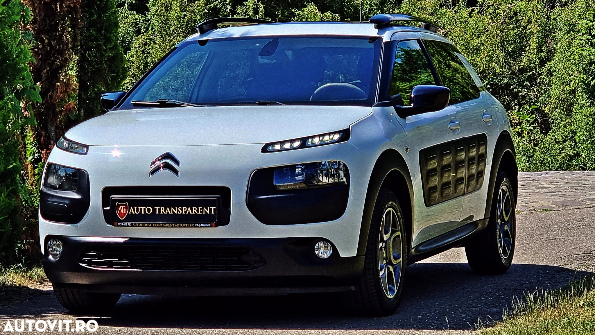 Citroën C4 Cactus Pure Tech 110 Stop&Start EAT6 Shine - 9