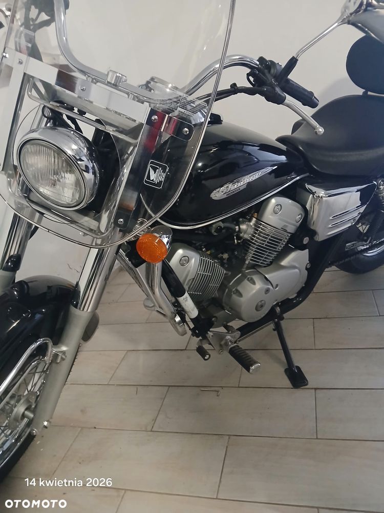 Honda Shadow - 7