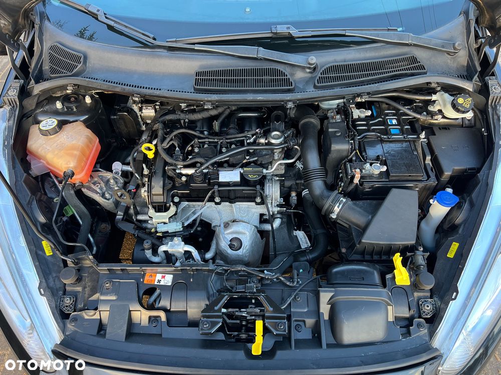 Ford Fiesta 1.0 Champions Edition - 12