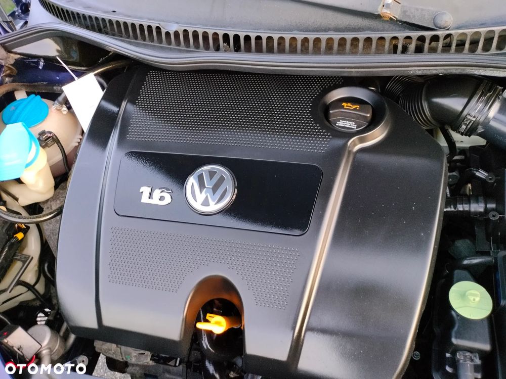 Volkswagen New Beetle - 32