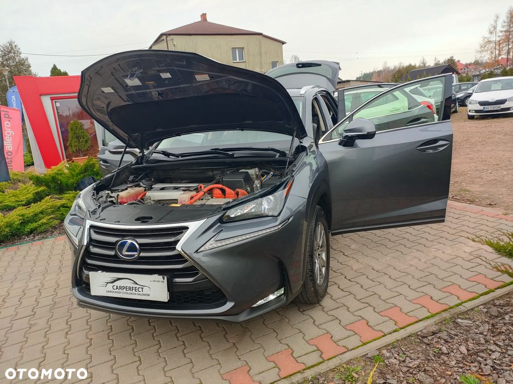 Lexus NX 300h Comfort AWD - 29