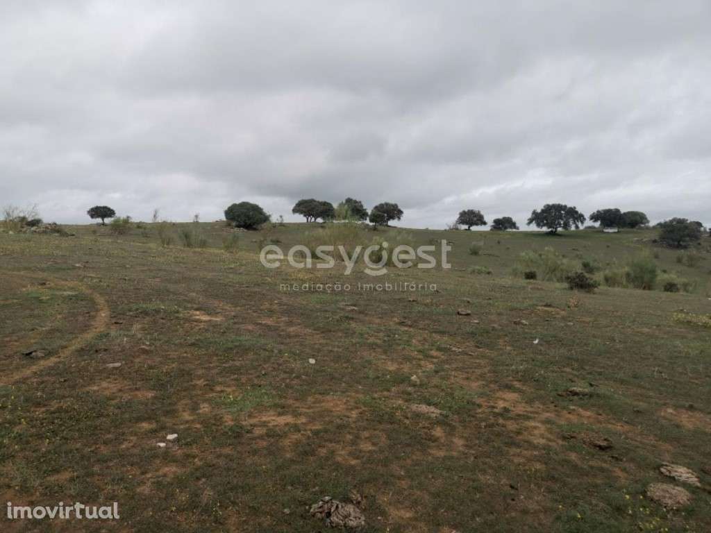 Terreno com 8ha nas margens do Alqueva - Chaminé - Reg. de Monsaraz - Grande imagem: 5/12