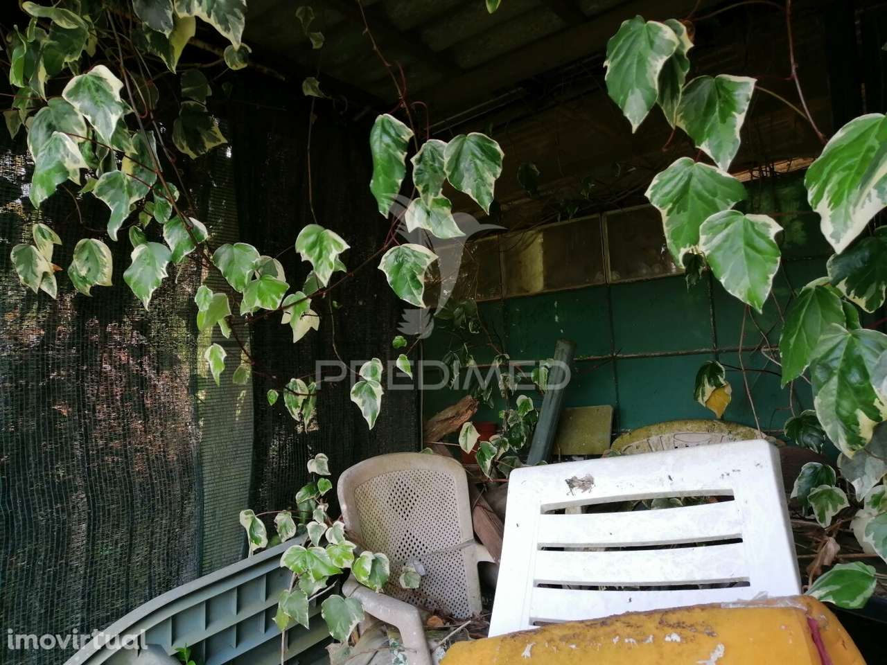 Cheleiros - Terreno Agrícola com 6600 m2 - Grande imagem: 3/14
