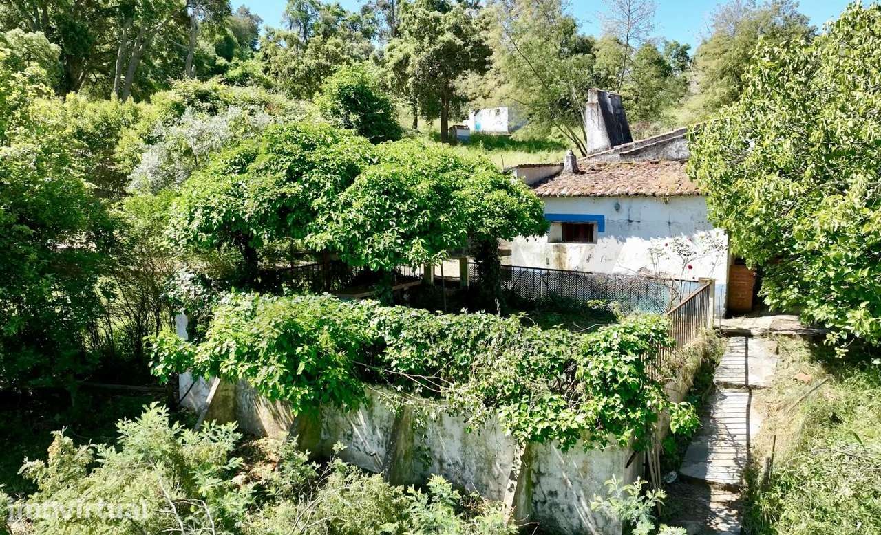 Monte na serena Serra d'Ossa com 11ha e 3 casas rústicas - Grande imagem: 5/18