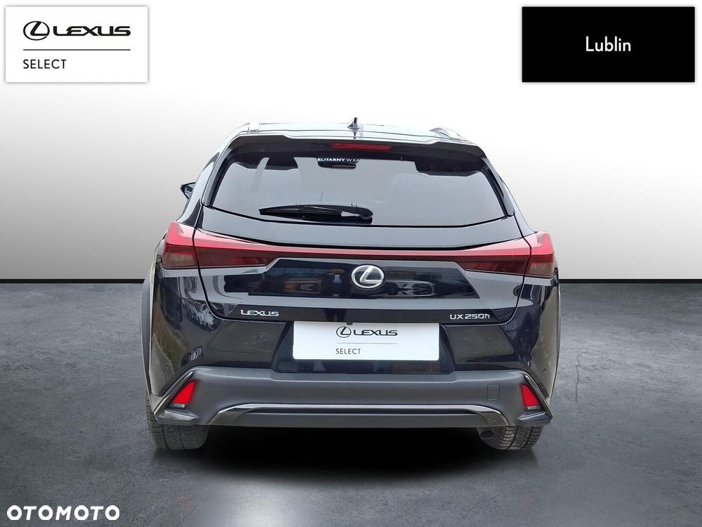 Lexus UX 250h GPF F Sport Design 2WD - 4