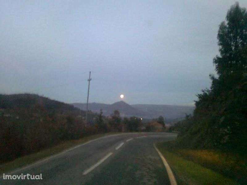 Quintinha Celoricoi de Basto - Grande imagem: 3/7