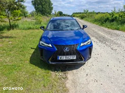 Lexus UX 250h GPF F Sport 2WD - 10