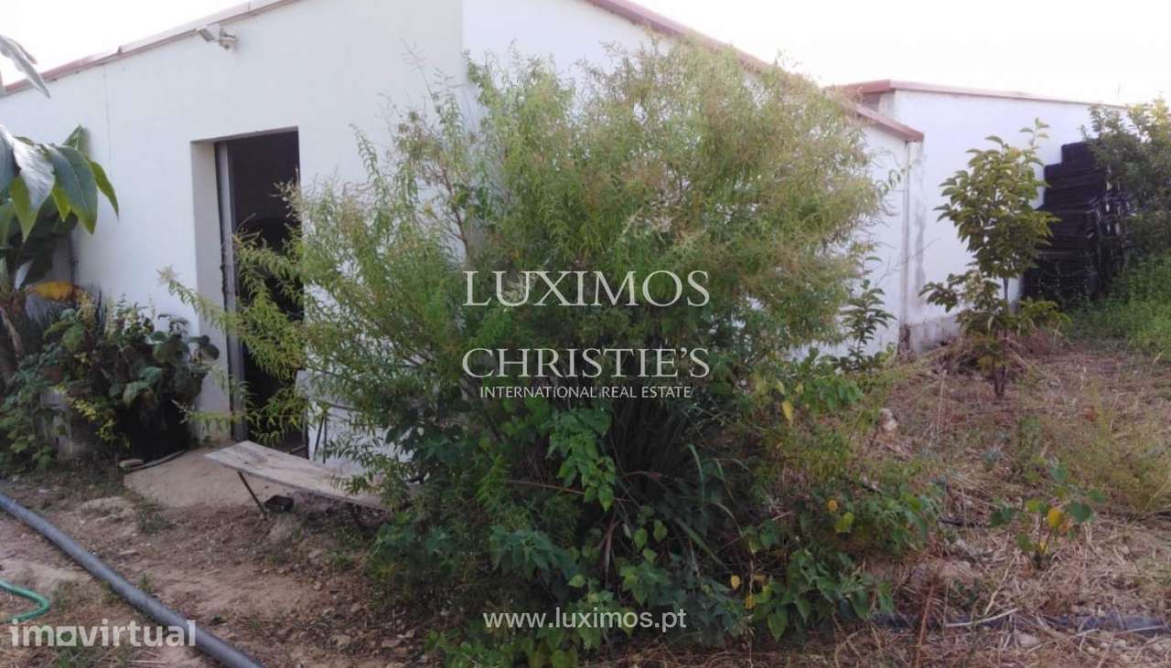 Quinta com pomar e ruína, Luz de Tavira, Algarve - Grande imagem: 3/14