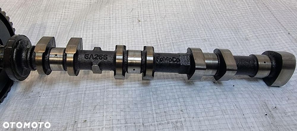 WAŁEK ROZRZĄDU SSĄCY KOŁO ROZRZĄDU FORD FOCUS MK3 1.0 EcoBoost CM5GFDGGKEA - 3
