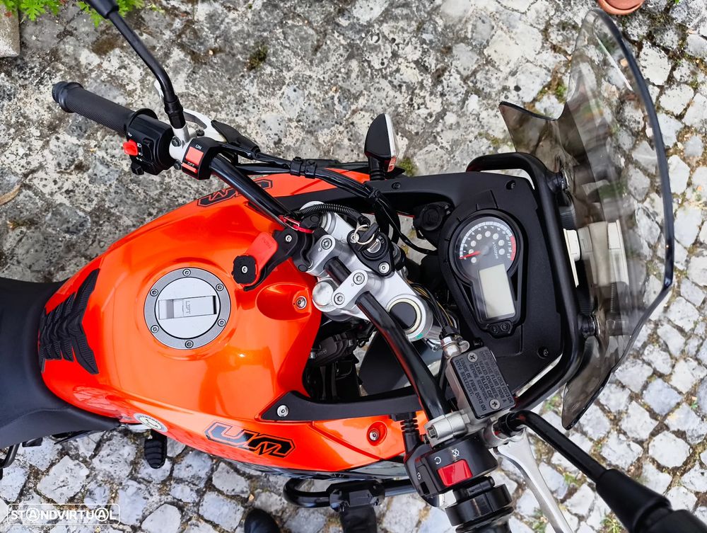 UM Dsr Adventure Adventure TT - 17