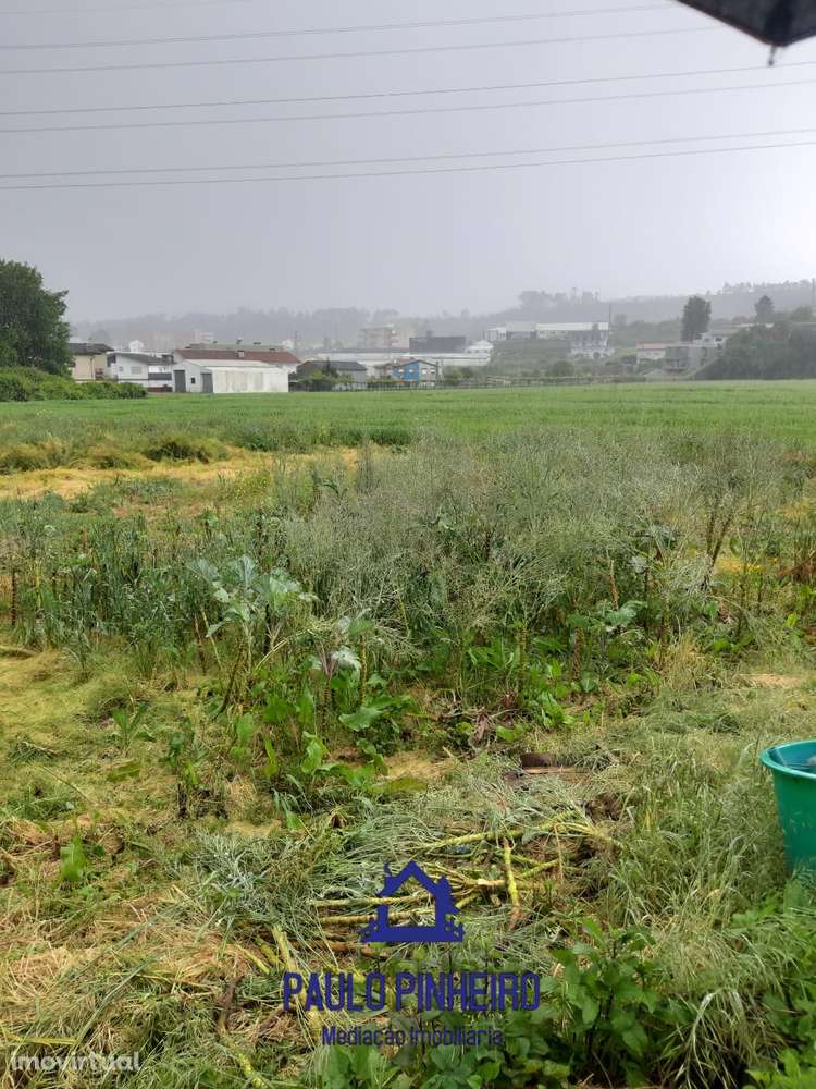 Terreno Sobrado - Grande imagem: 2/9