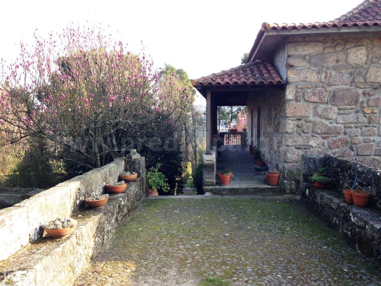 Quinta  Venda em Areias, Sequeiró, Lama e Palmeira,Santo Tirso - Grande imagem: 2/7