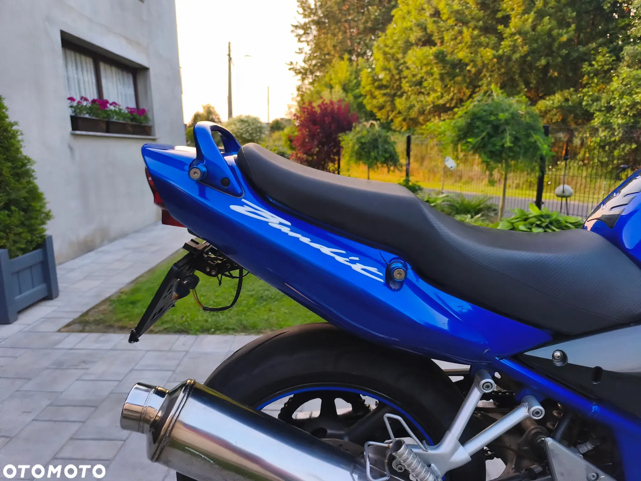 Suzuki Bandit - 24