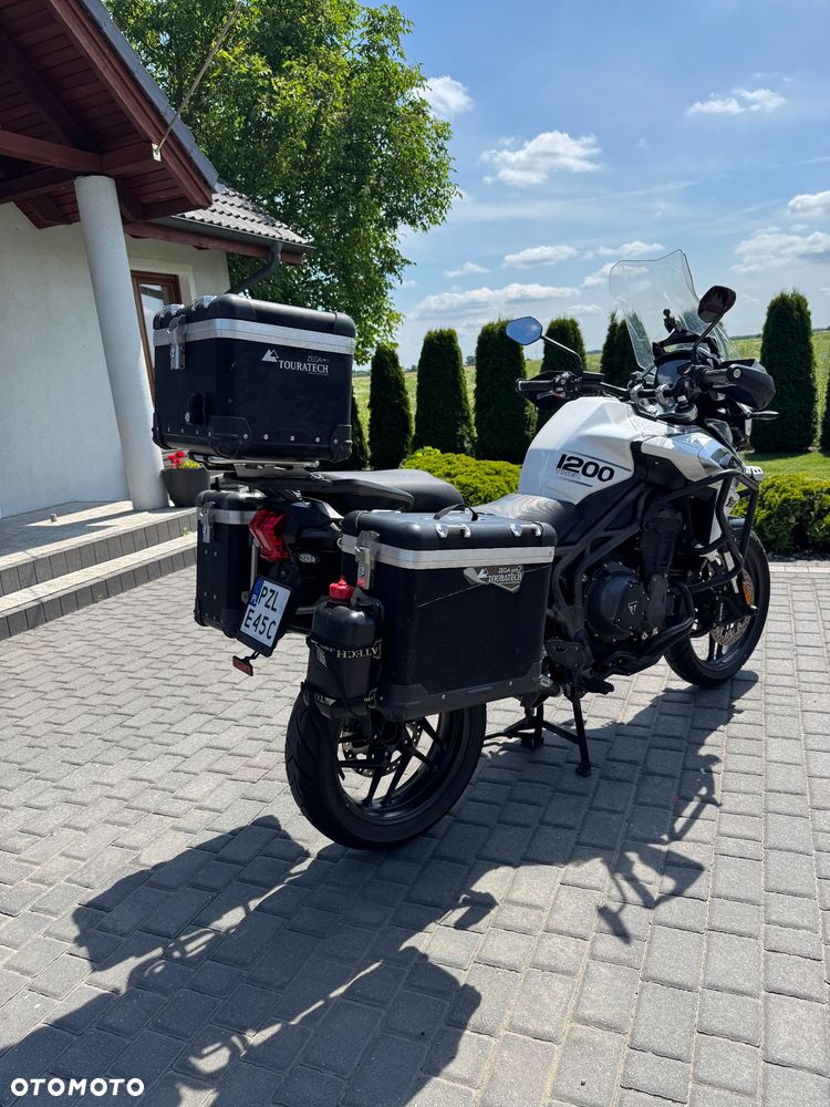 Triumph Tiger - 3