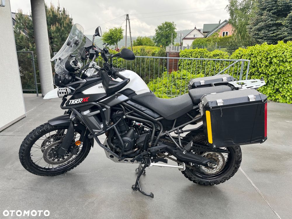 Triumph Tiger - 1