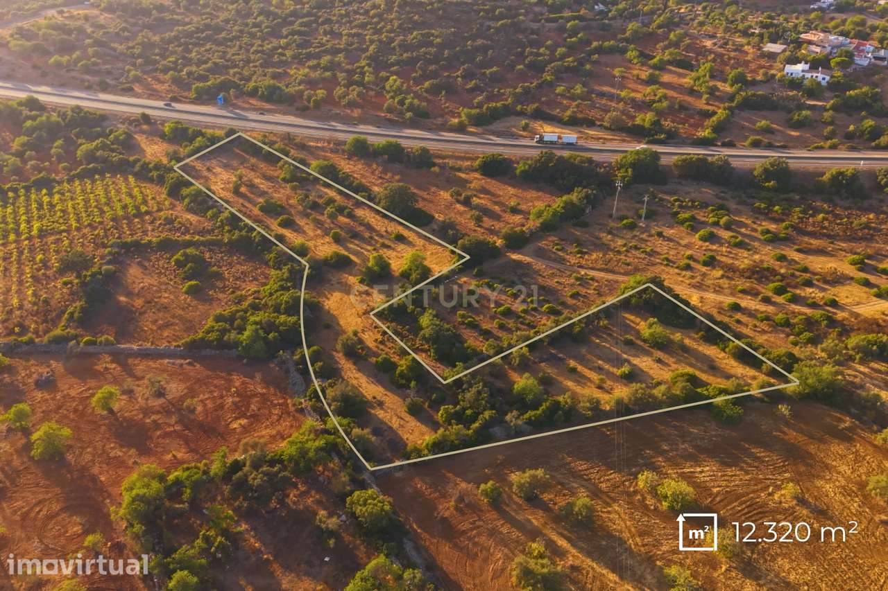 Terreno Rústico com 12.300 m² em Moncarapacho - Olhão - Algarve - Grande imagem: 4/7