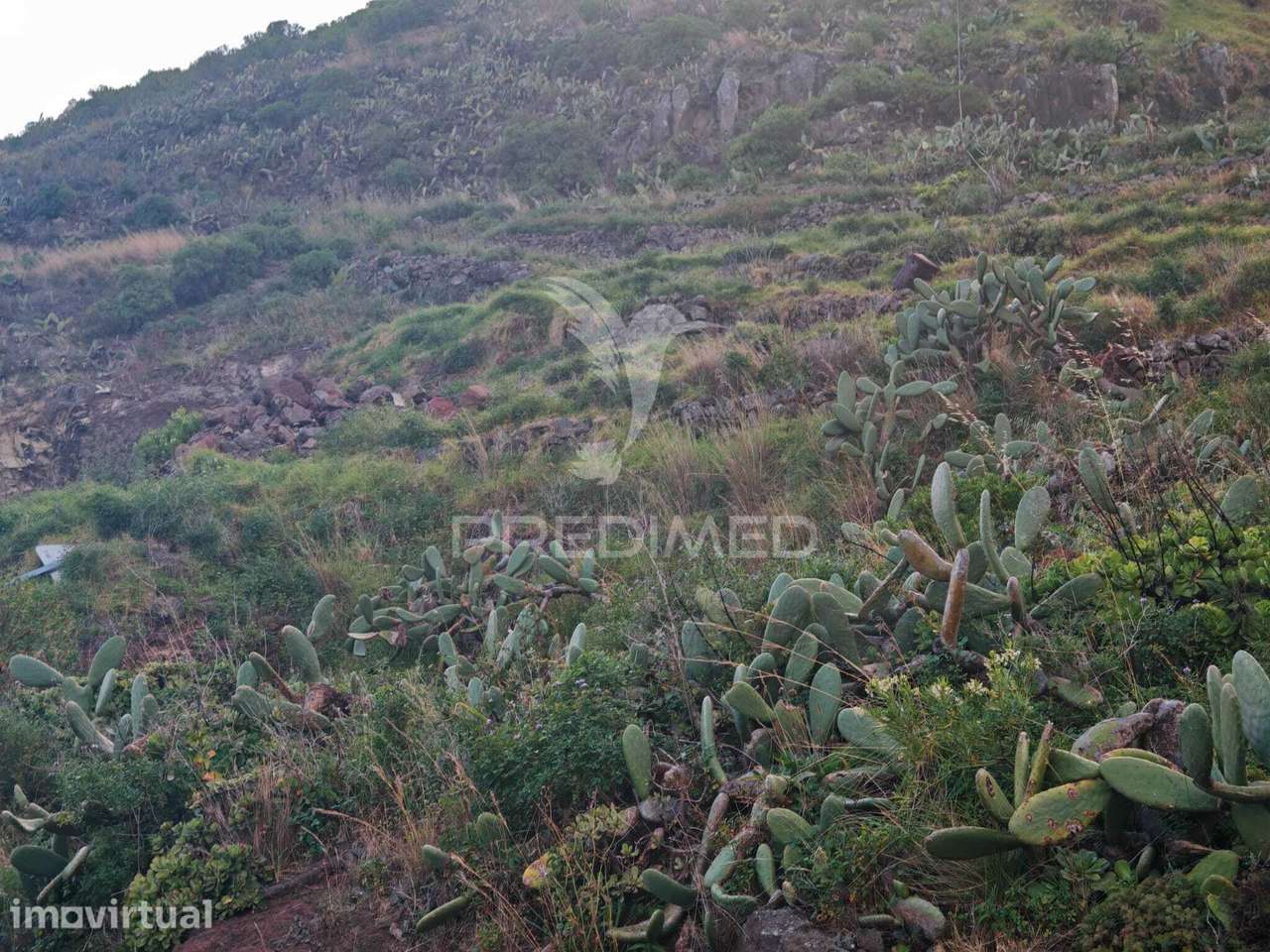 Terreno 5.286 m² no Caniçal | Vista | Excelente Oportunidade - Grande imagem: 4/16