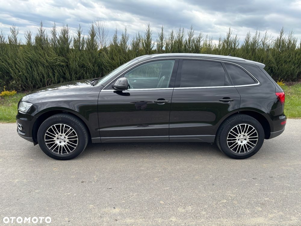 Audi Q5 - 19