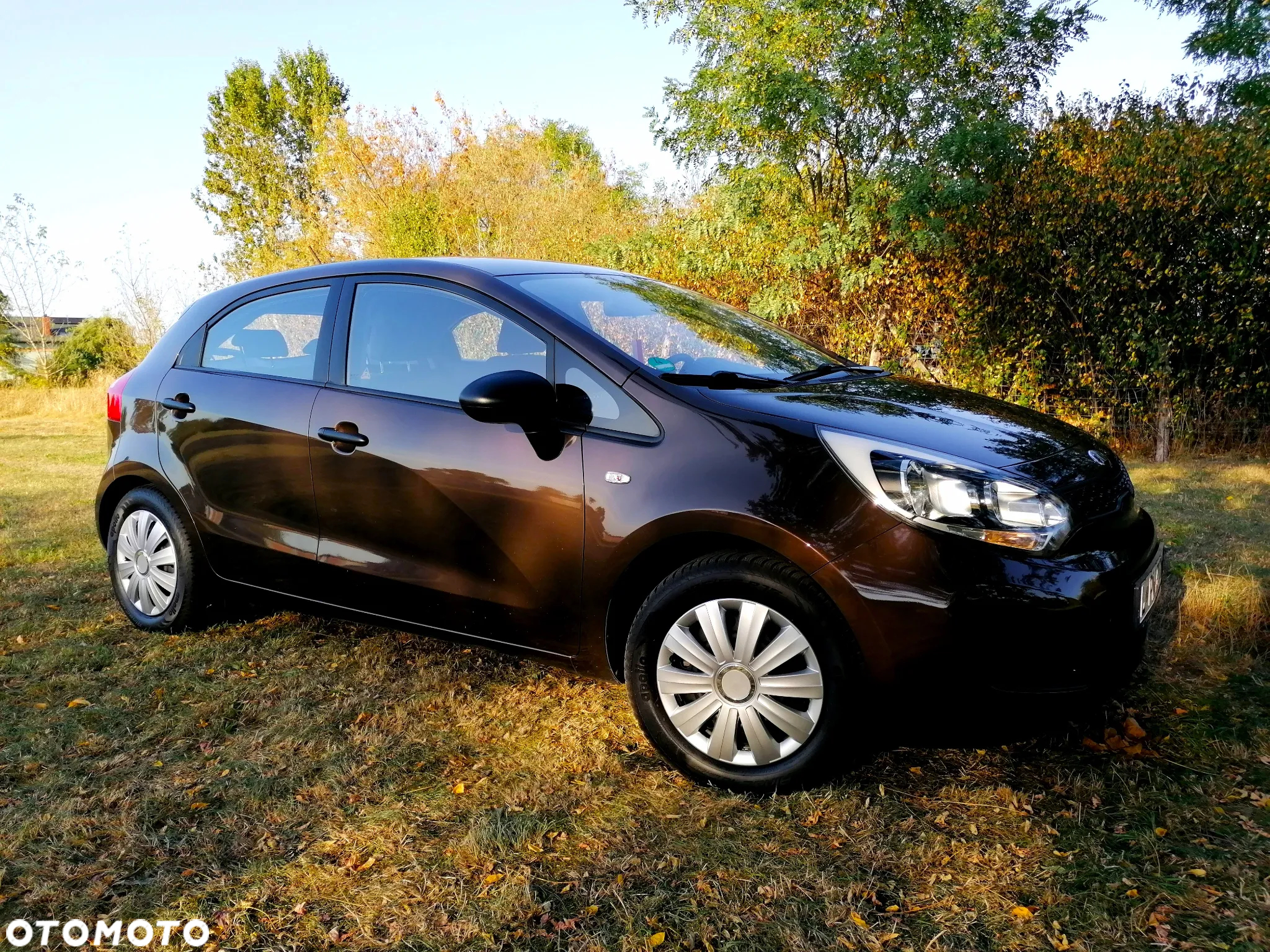 Kia Rio 1.4 Dream Team Edition - 14