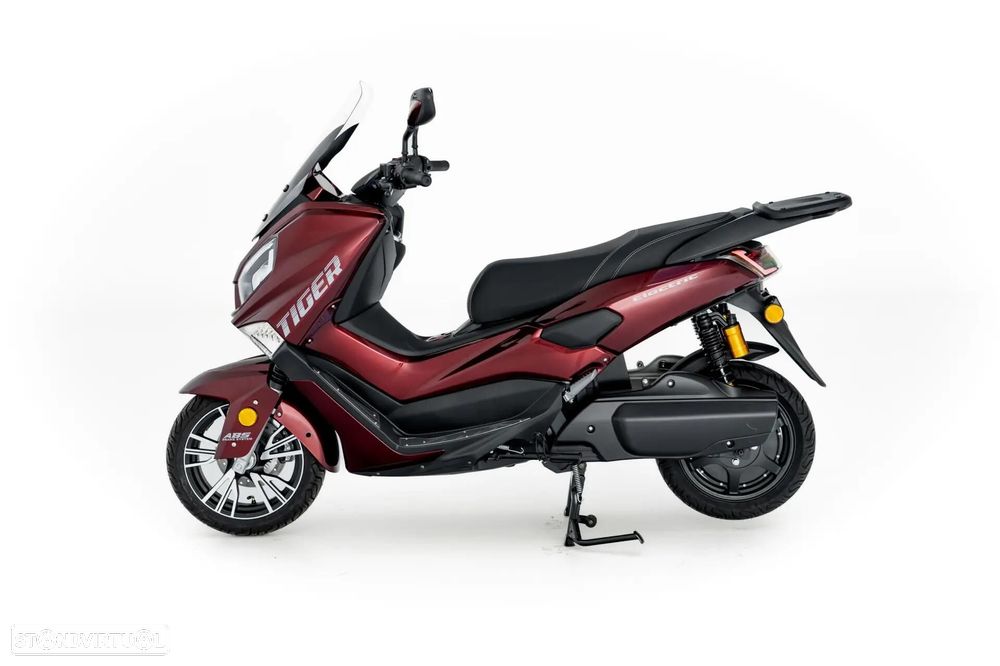 Efun Tiger - 1