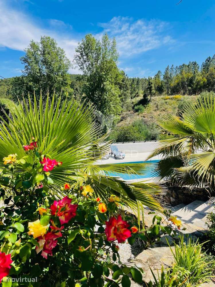 Quinta Rural - Grande imagem: 5/40